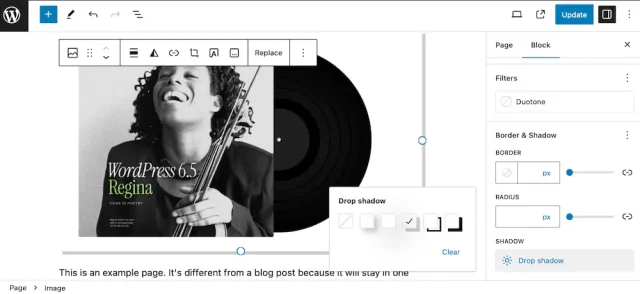 Example of drop shadow on image in WordPress 6.5
