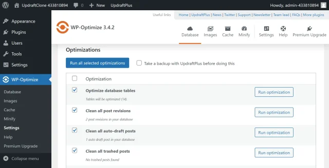 Run all selected database optimizations here in the WP-Optimize plugin window